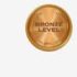 Bronze Level Icon